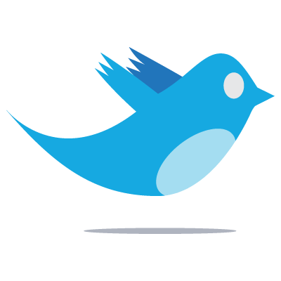 twitter bird logo vector