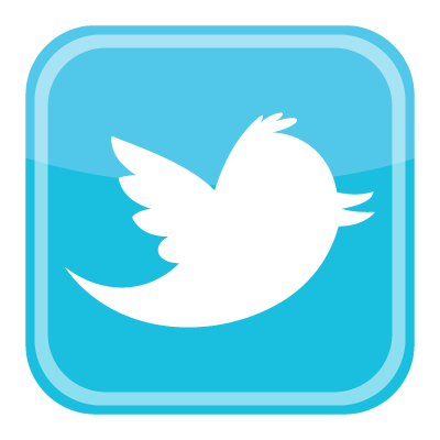 Twitter bird icon vector download free