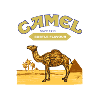 Camel (.AI) logo vector