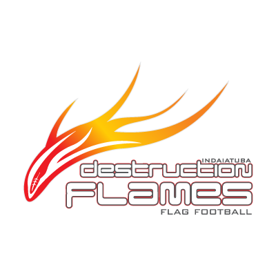 Destruction Flames logo vector free