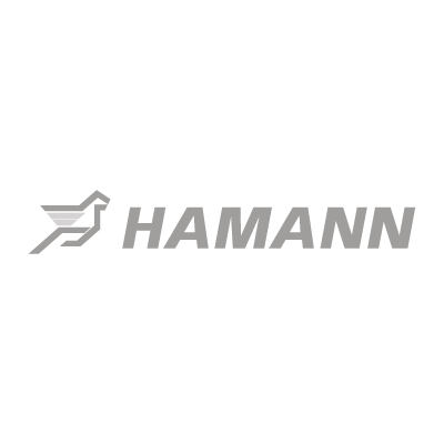 Hamann Motorsport logo