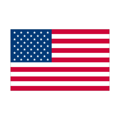 Flag of American logo