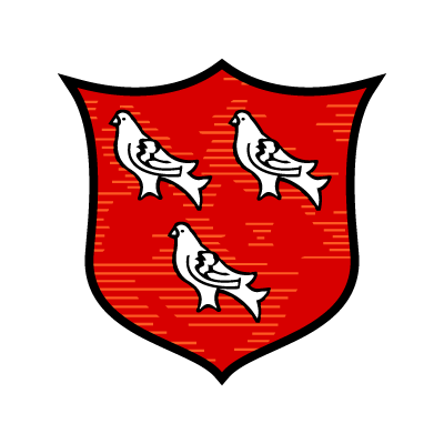 Dundalk FC logo