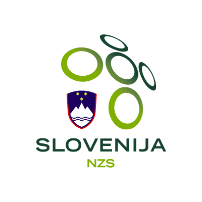 Nogometna zveza Slovenije logo