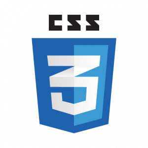 CSS3 logo vector download