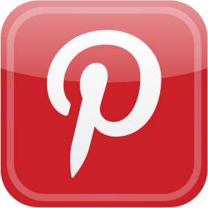 Pinterest button vector