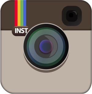 Instagram icon (2010-2011) in Vector
