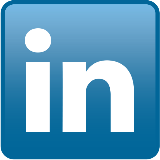 LinkedIn icon (2003-2011)
