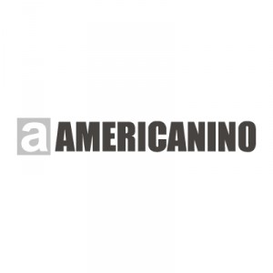 Americanino logo vector