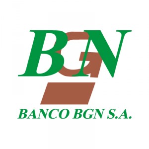 BGN logo vector