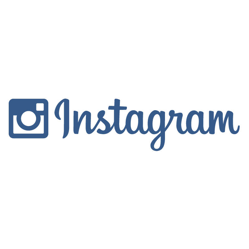 Instagram Wordmark logo vector