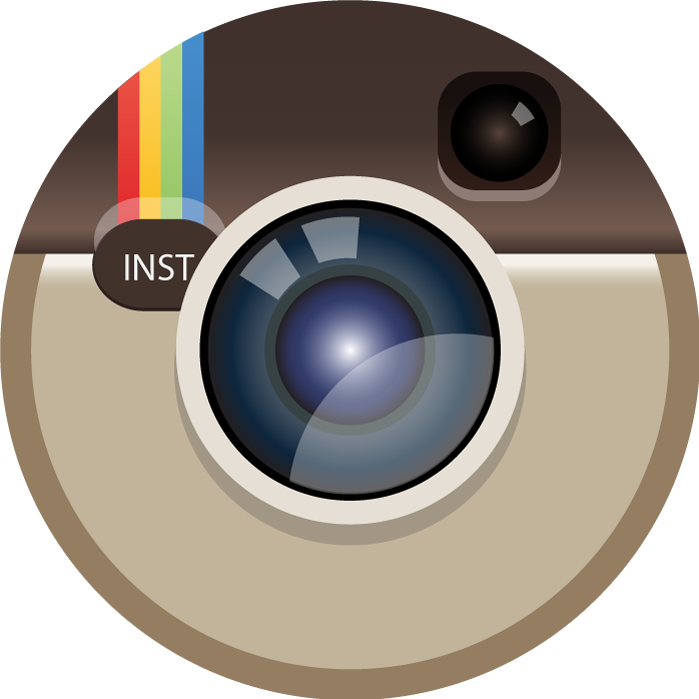 instagram icon vector image