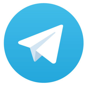 Telegram logo vector