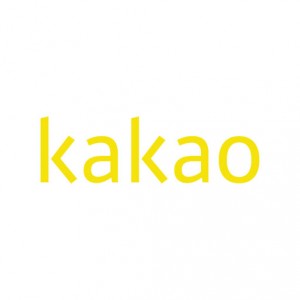 Kakao logo vector