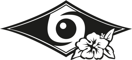 Bic Sport Surfboards Logo Vector (EPS) + PNG