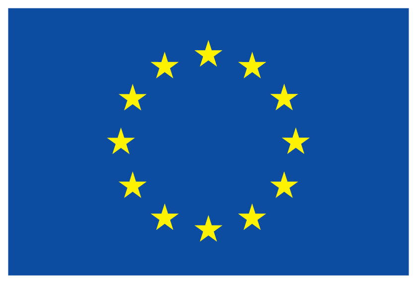 The European flag vector