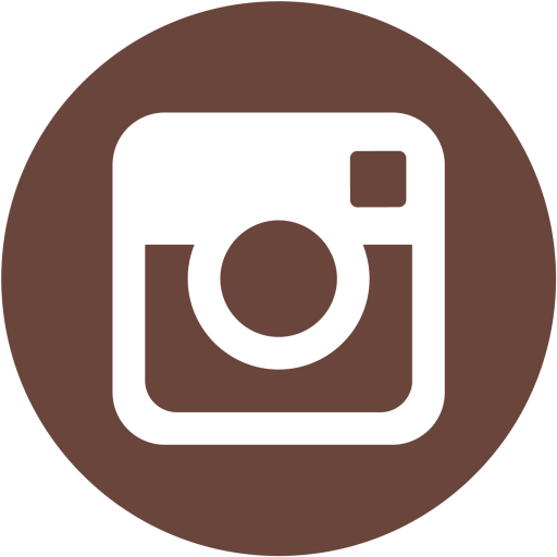Instagram icon vector download