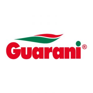A Guarani logo vector