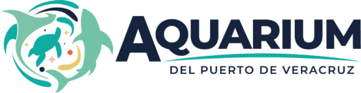 Download Acuario de Veracruz Logo PNG & Vector