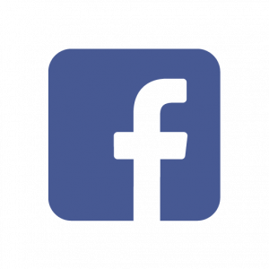 Facebook Icon vector