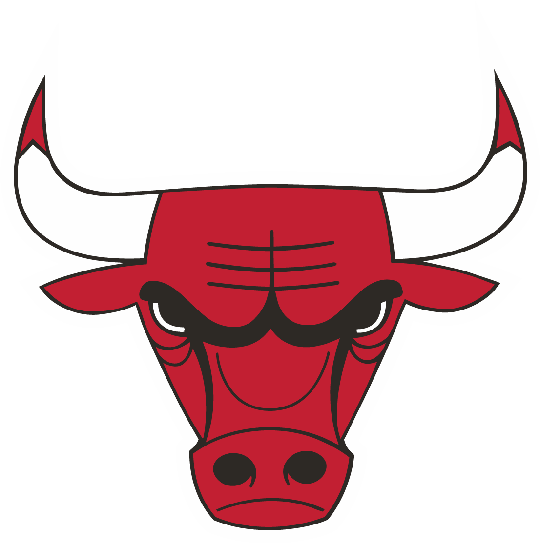 Chicago Bulls