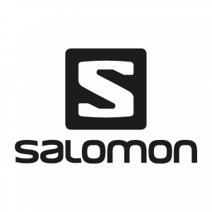 Salomon Group logo vector