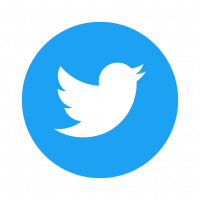 Twitter Social Icon Circle vector