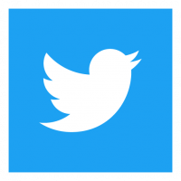 Twitter Icon Square logo vector