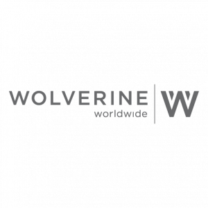 Wolverine logo vector