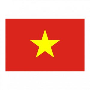 Vietnam flag vector