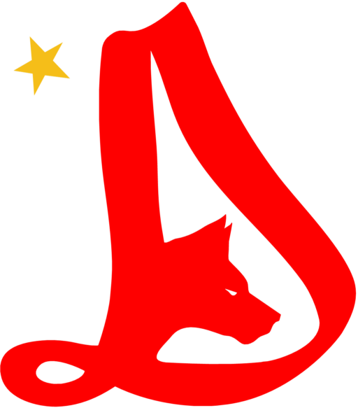 FC Dinamo București Logo