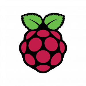 Raspberry Pi logo vector