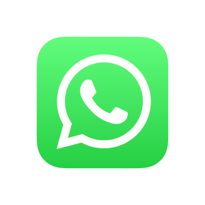 WhatsApp icon (Green Square) vector