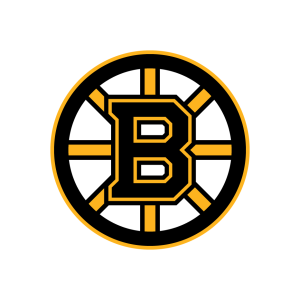 Boston Bruins logo vector