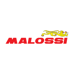 Malossi logo vector