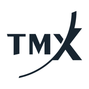 TMX Group logo vector