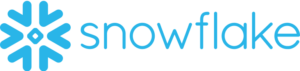 Snowflake logo vector