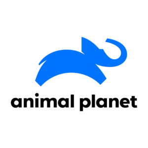 Animal Planet logo PNG, vector format
