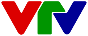 VTV – Vietnam Television logo PNG, vector format