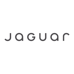 Jaguar logo vector