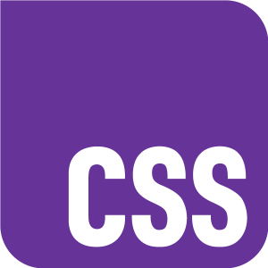 CSS logo vector