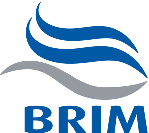 Brim hf. Logo PNG + Vector