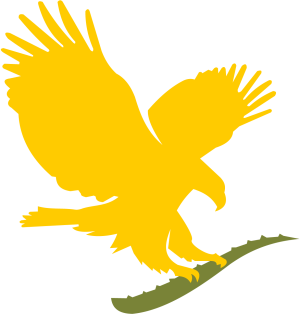 Forever Living Products symbol Vector Logo + PNG