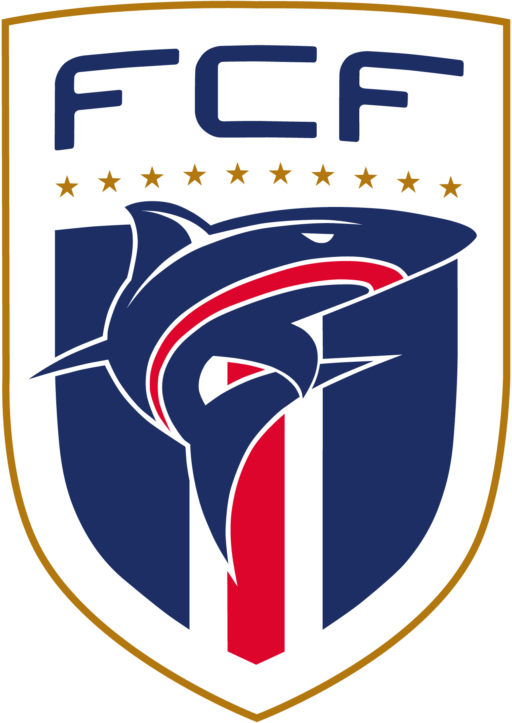 Cape Verde national football team Logo PNG & Vector Files